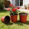 Plastic Plant Nursery Pots with Drainage Holes (Set of 10)