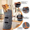 Gray dog bathrobe with orange trim shown on a dog, highlighting features like quick closure and reinforced stitching.