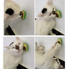 Jouet à la mélisse pour chat, monté au mur et rotatif