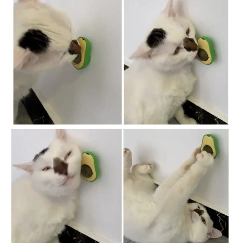 Jouet à la mélisse pour chat, monté au mur et rotatif
