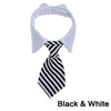 A white necktie with a black and white striped pattern