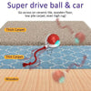 Interactive Rolling Cat Toy with Bird Sounds and Three Play Modes