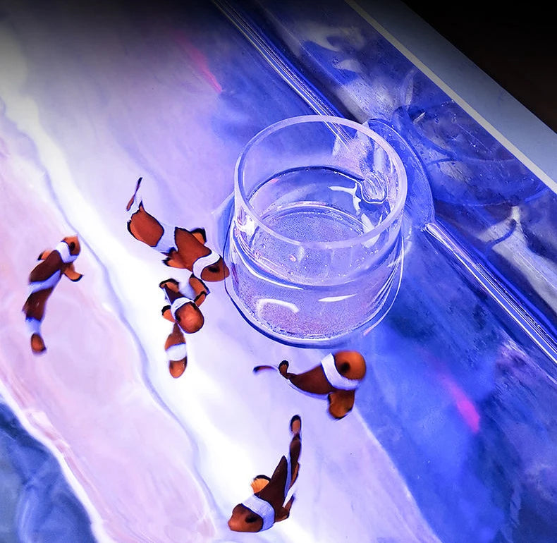 Clear Acrylic Aquarium Feeding Cup Ring Anti-drift Betta Fish Feeder