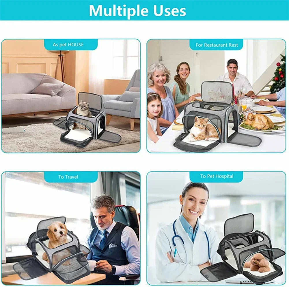 Expandable pet carrier backpack with five openings and reflective trim shown in various uses like a pet house, restaurant res