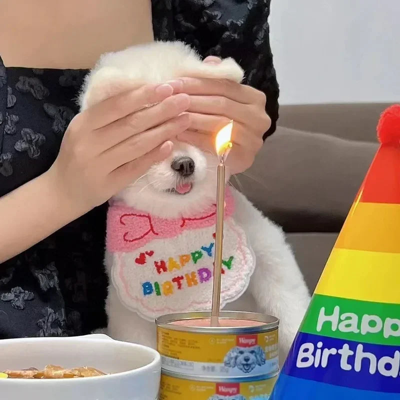 Conjunto de Bufanda y Sombrero para Fiesta de Cumpleaños de Mascota