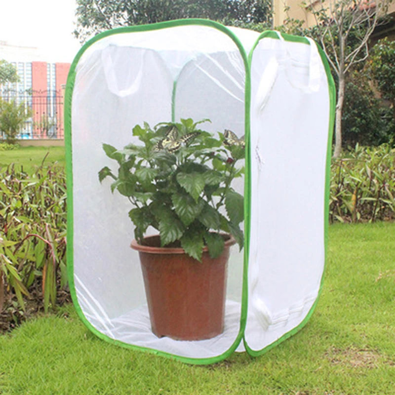 A transparent mesh insect breeding cage with a green frame and a potted plant placed inside on a grassy lawn.