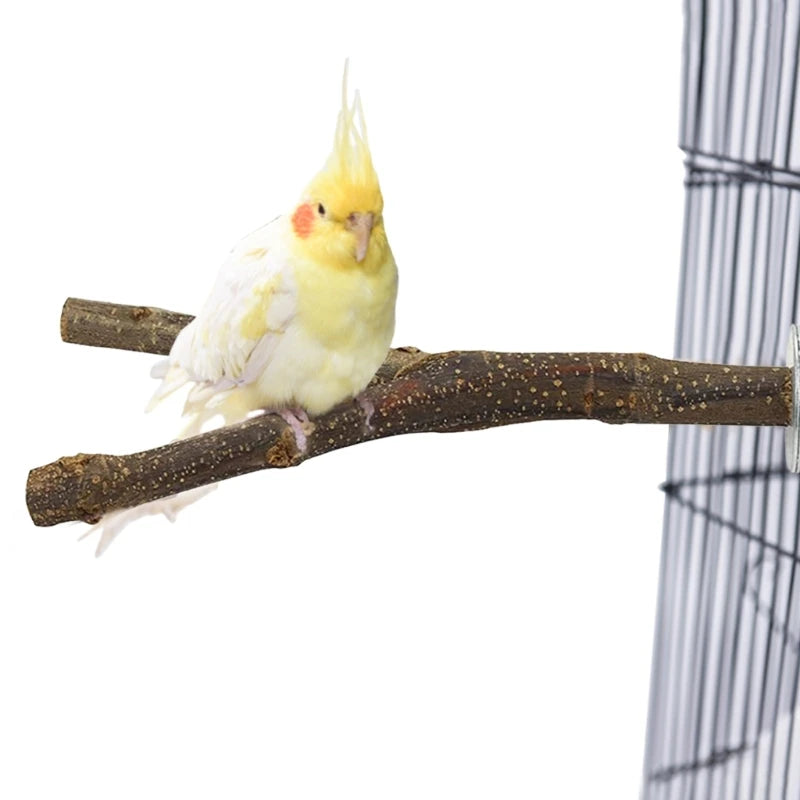 A small yellow and white parrot perched on a wooden branch inside a wire stand.