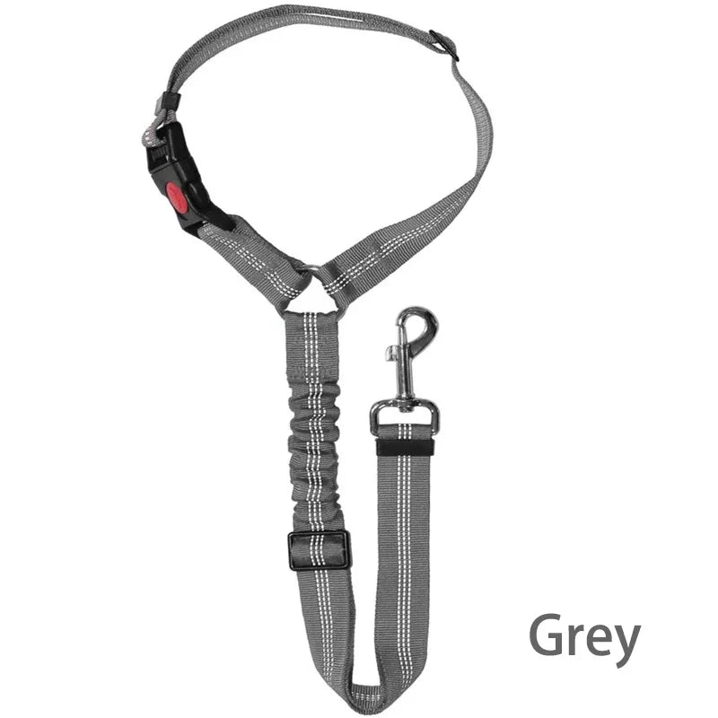 Two-in-One Pet Harness and Car Safety Belt with Reflective Leash