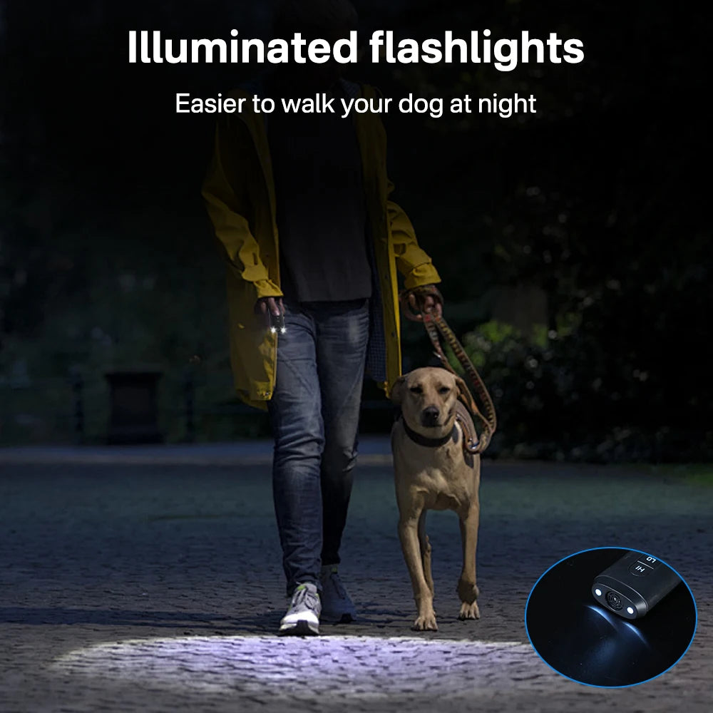 Eine Person führt einen Hund nachts mit beleuchteten Taschenlampen.