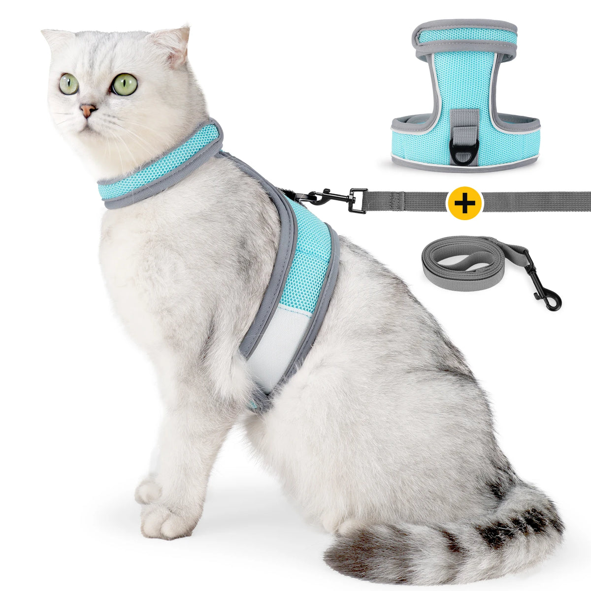 A fluffy white cat wearing a light blue harness and leash, with an accessory harness shown separately.