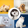 Pet Bob Wig – Funny Cat & Dog Costume Accessory