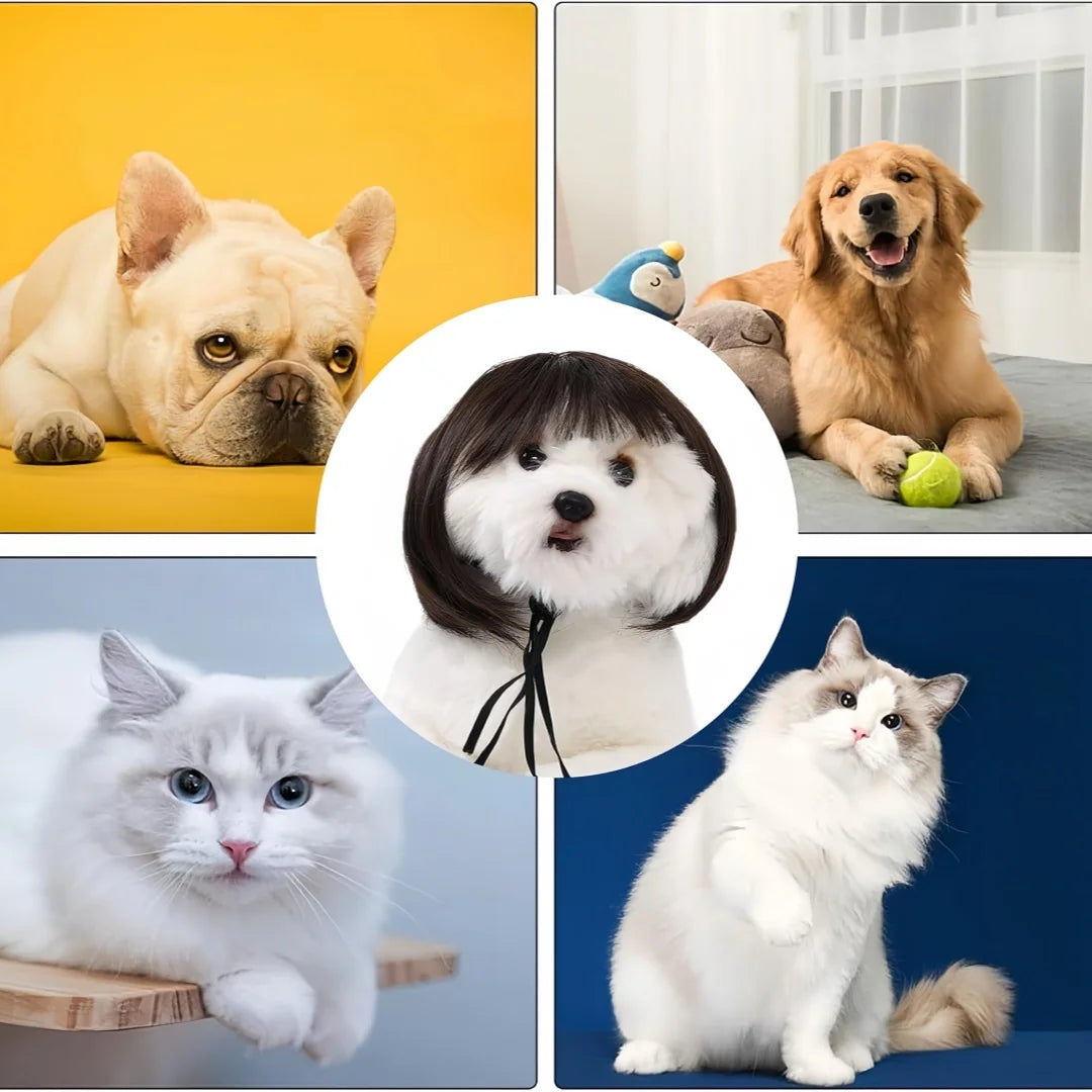 Pet Bob Wig – Funny Cat & Dog Costume Accessory