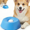 Anti-Gulping Slow Feeder Dog Bowl