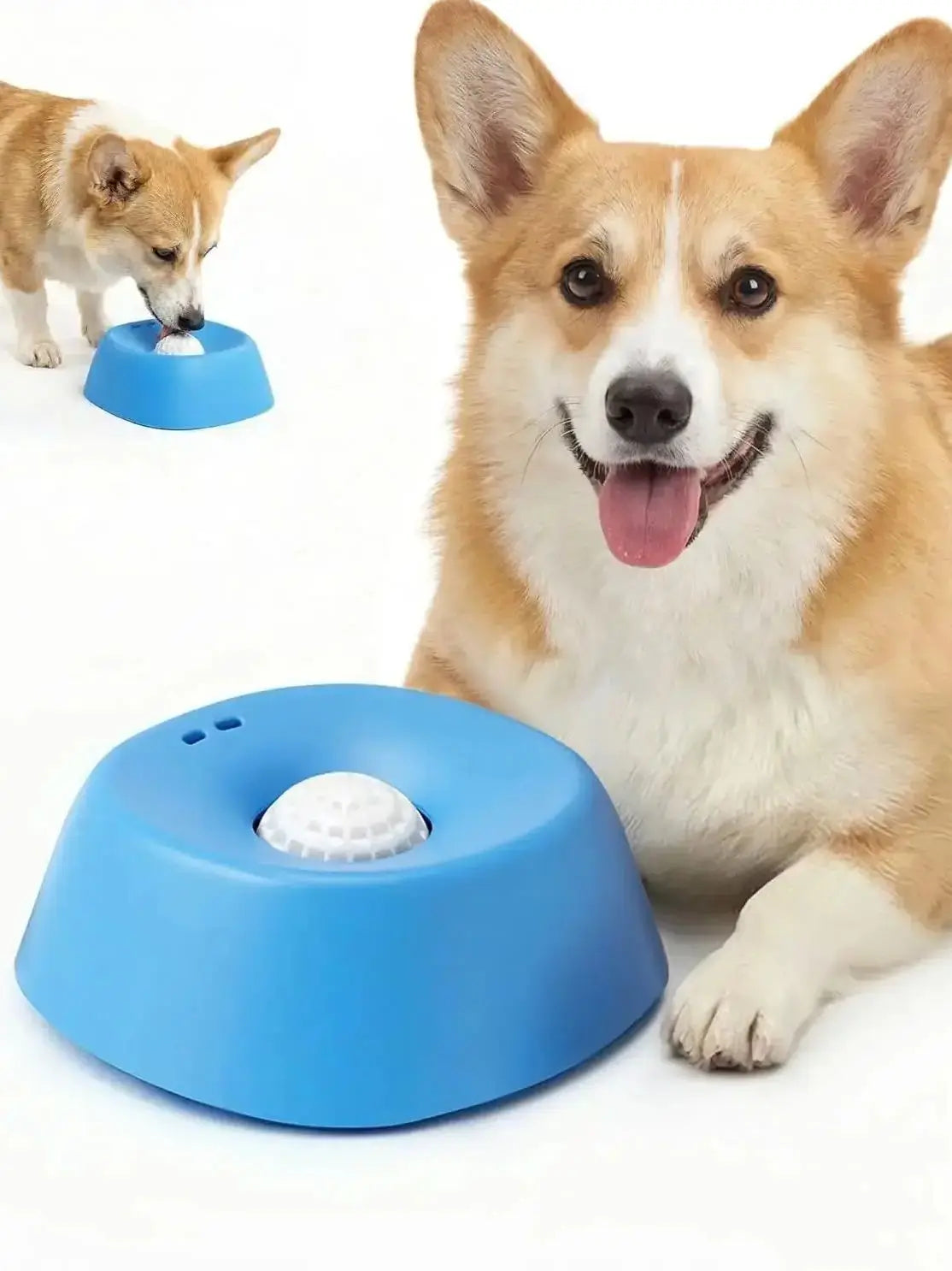 Anti-Gulping Slow Feeder Dog Bowl