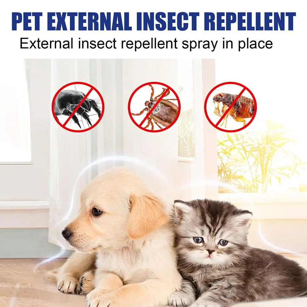 Un cachorro dorado y un gatito gris en una habitación brillante con un spray repelente de insectos visible.
