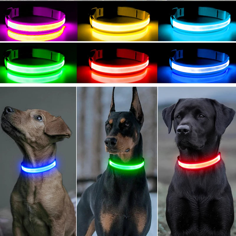 Various colors of USB rechargeable pet safety light collars shown on dogs.