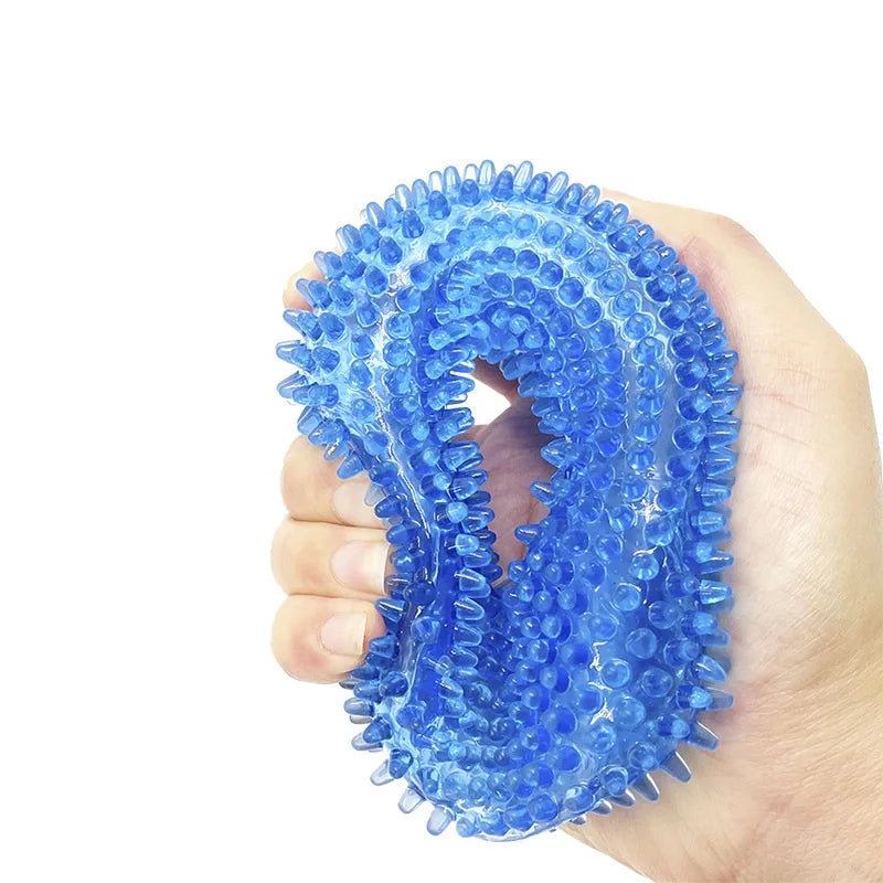 Jouet à mâcher qui grince pour chien, durable