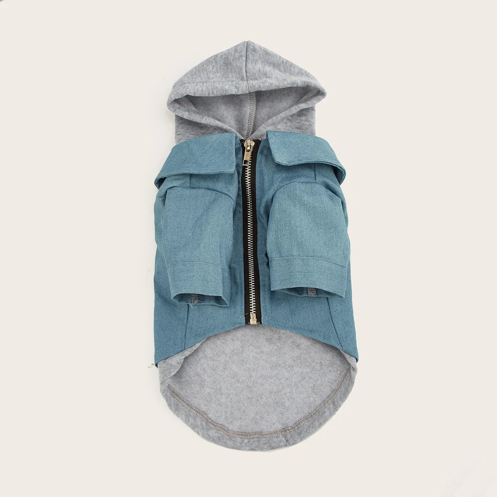 Helles blaues, gemütliches Winter-Hoodie mit grauem Kapuzen und Reißverschluss, flach gelagert.