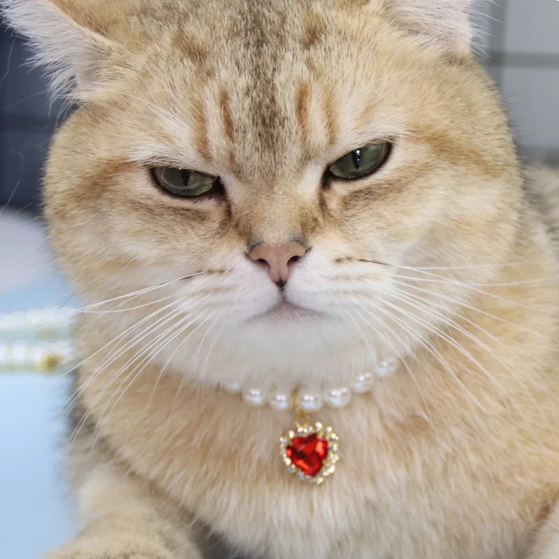 A tabby cat wearing a pearl and gold adjustable collar with a red heart pendant.
