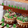 Mini Resin Frog Figurines for Fairy Garden & Terrarium Decor