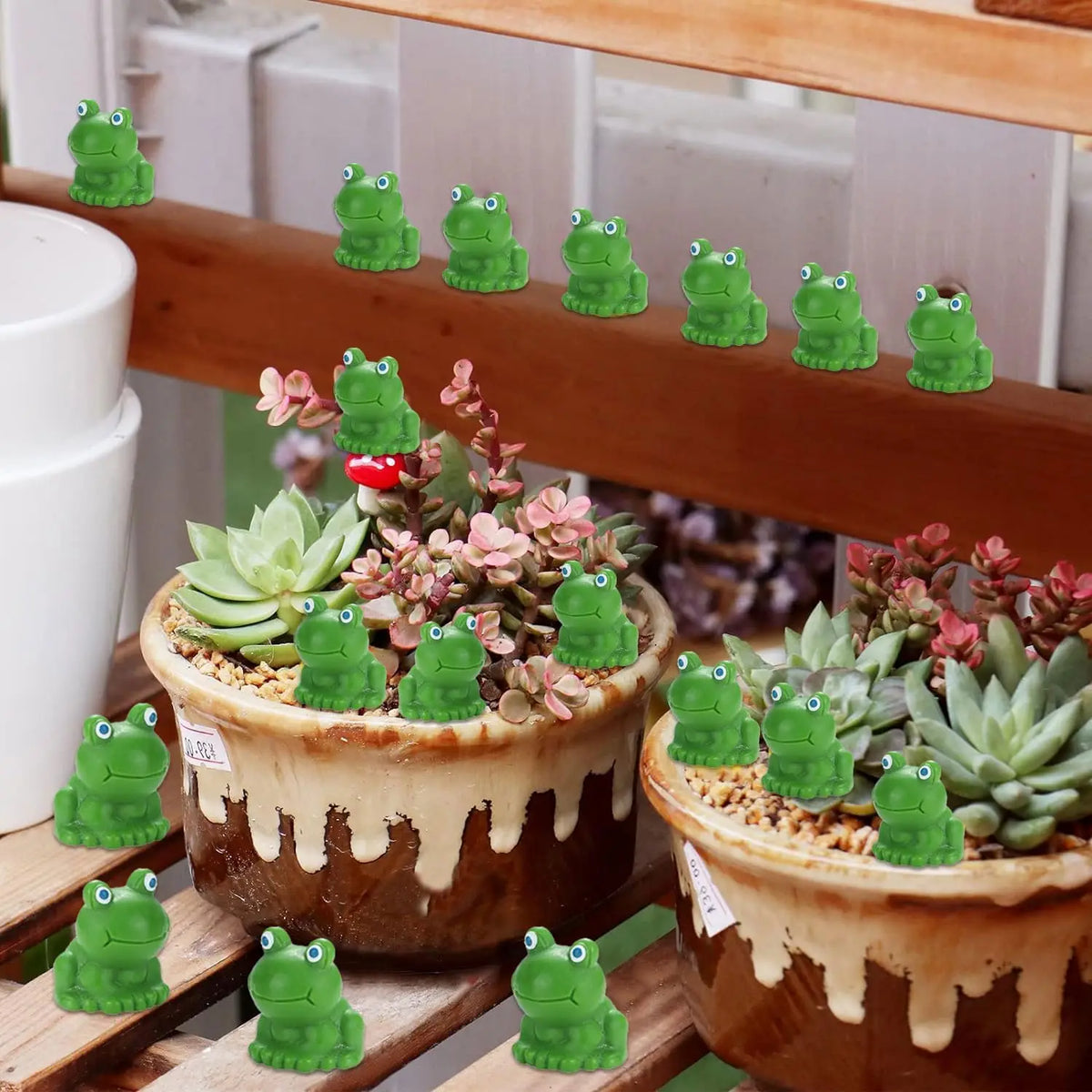 Mini Resin Frog Figurines for Fairy Garden & Terrarium Decor