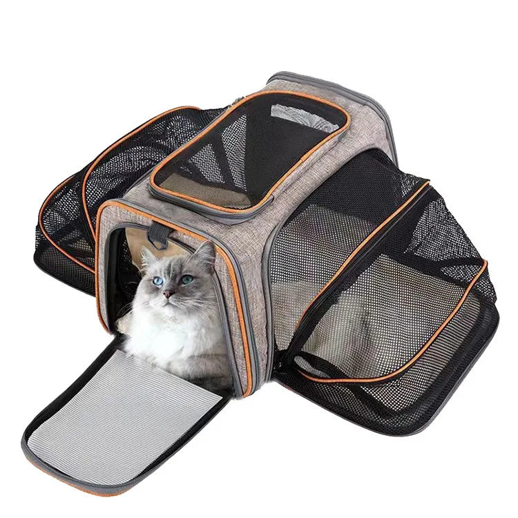 A gray foldable soft-sided pet carrier with a mesh top and padded interior is shown.
