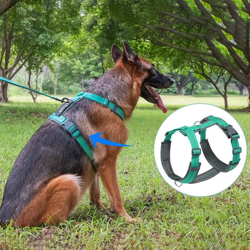 A German Shepherd wearing a green adjustable no-pull harness with an H-shaped design is shown alongside a diagram of the harn