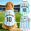 A golden dog wearing a light blue and white Argentina football jersey for dogs.