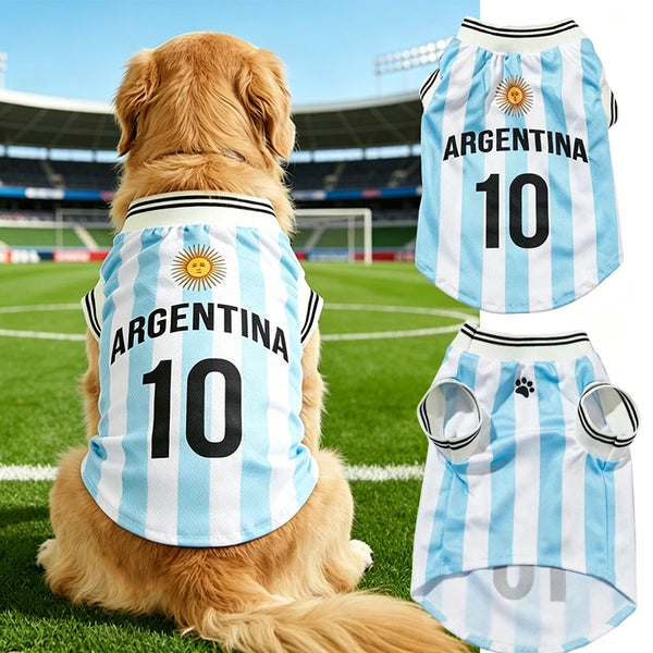 Un perro dorado vistiendo una camiseta de fútbol argentina azul claro y blanca para perros.