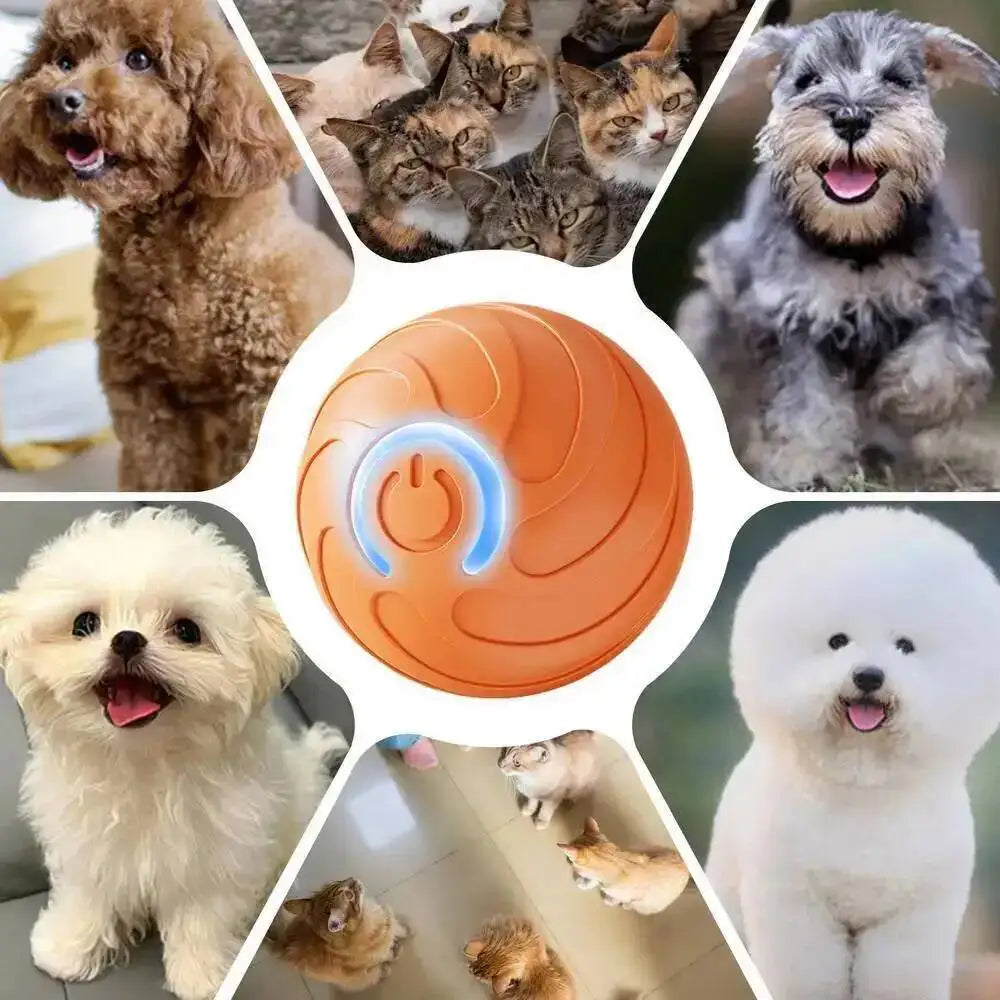 An orange interactive pet ball used for dogs and cats, shown alongside various pets.