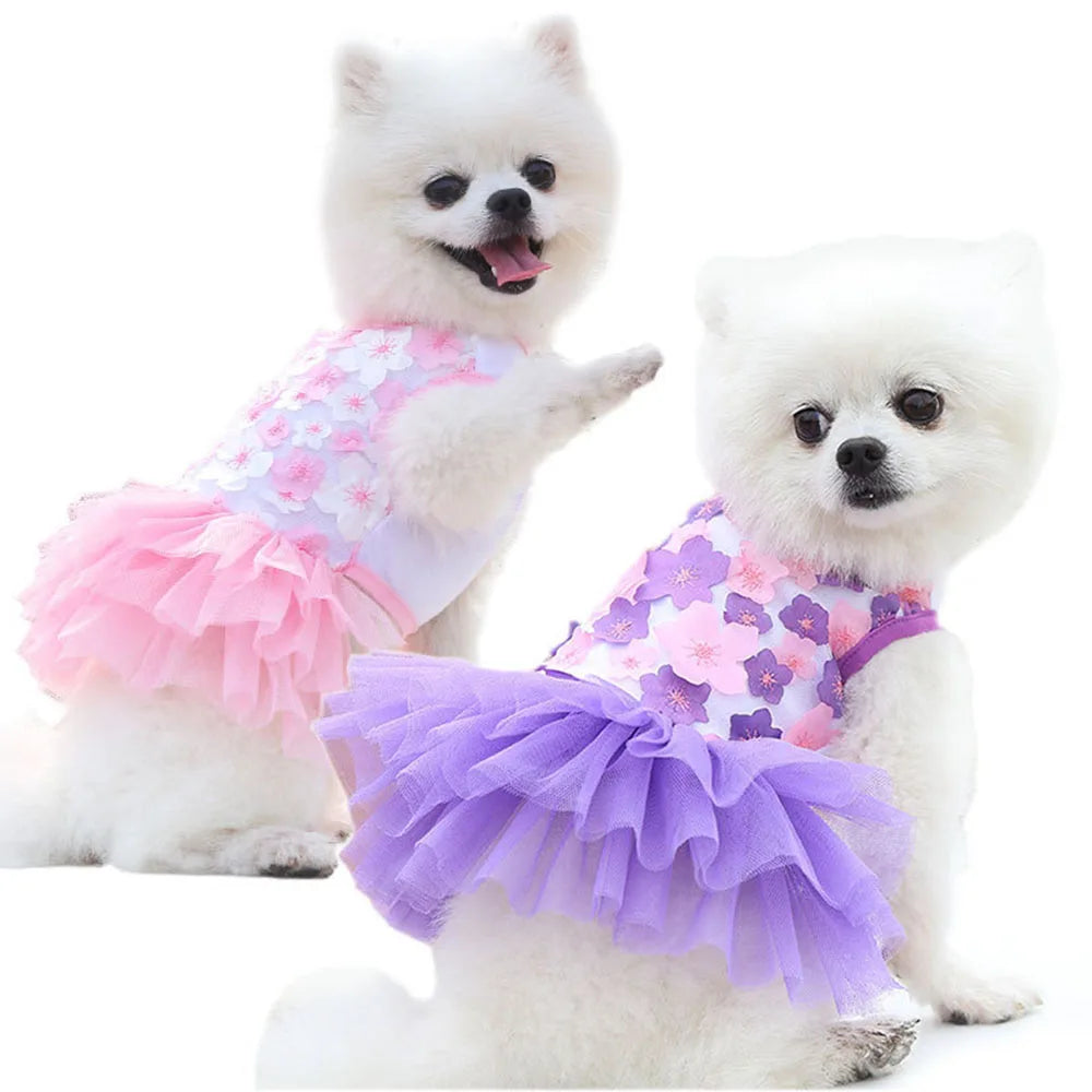 Un chien blanc portant une robe en mousseline de dentelle florale avec des volants roses et violets.