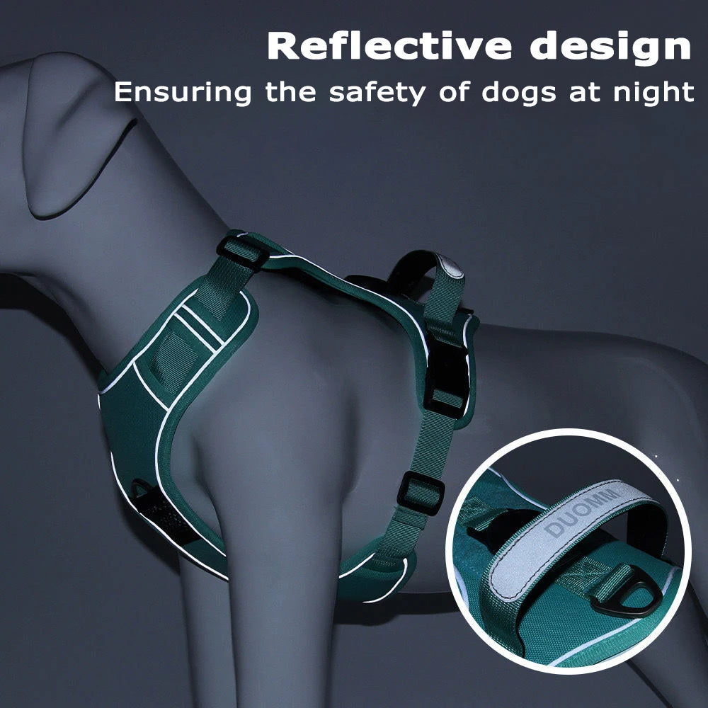 A dark green reflective dog harness is shown on a gray dog, emphasizing safety for dogs at night.