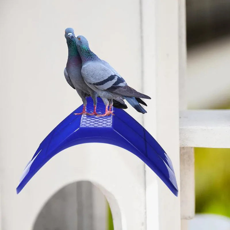 Une colombe perchée sur un support d'oiseau en plastique bleu sur fond blanc.