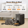 Automatic Pet Feeder with Timed Dispenser for Cats and Dogs