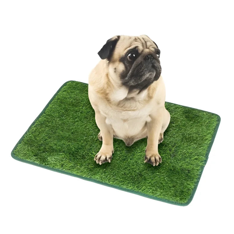 A fawn-colored bulldog sits on a green, reusable dog grass toilet training mat.