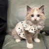Polka Dot Summer Dog Dress with Suspender Straps
