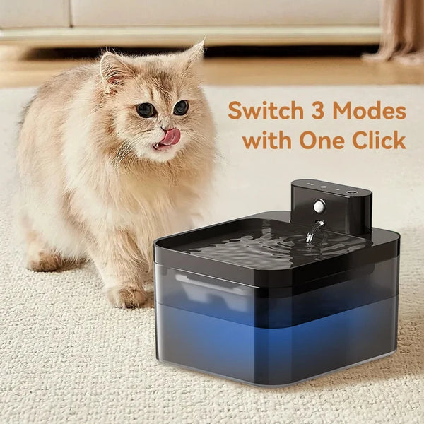 A fluffy ginger cat sits next to a dark blue wireless pet water fountain device.