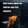Automatic Aquarium Fish Feeder with Timer