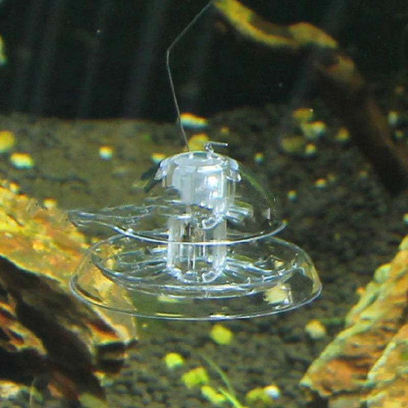Trampa para Caracoles de Acuario - Control de Plagas Sin Químicos