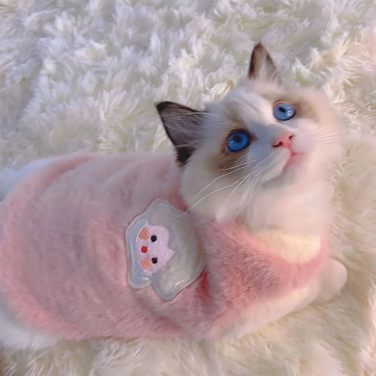 A fluffy white and blue cat wearing a pink embroidered vest on a white fur background.