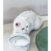 A white cat is looking at a marbled ceramic double pet bowl set with a wooden stand.