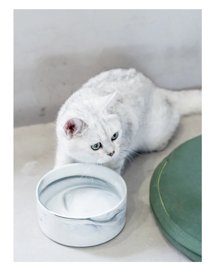 A white cat is looking at a marbled ceramic double pet bowl set with a wooden stand.