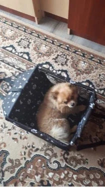 Hamac de voiture pour animaux de compagnie, étanche et transportable