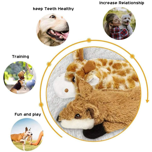 A multi-style squeaky dog toy is shown with various benefits like keeping teeth healthy, increasing relationship, training, a