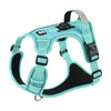 A teal dog harness with a black Airtag holder and leash set is shown against a white background.