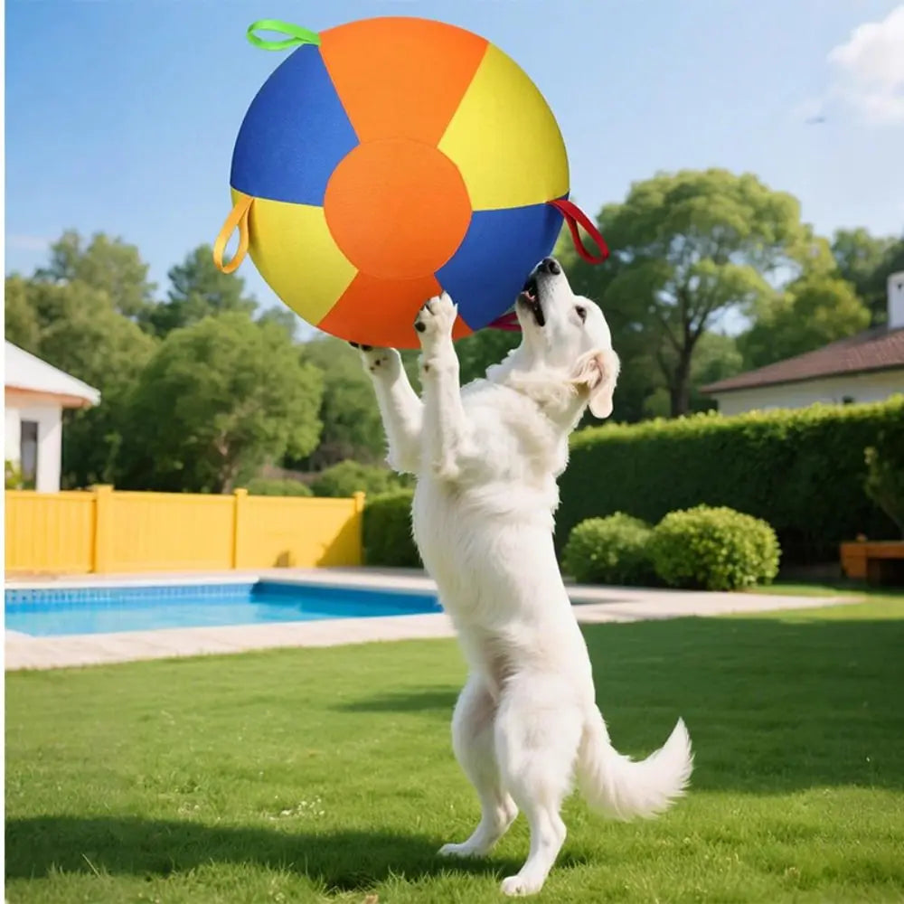 A white dog leaps toward an orange and blue inflatable herding ball in a sunny backyard setting.