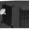 Heavy Duty Dog Crate Cover for 42-Inch Wire Kennels – Black