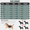 Waterproof Dog Raincoat with Reflective Stripe and Hood