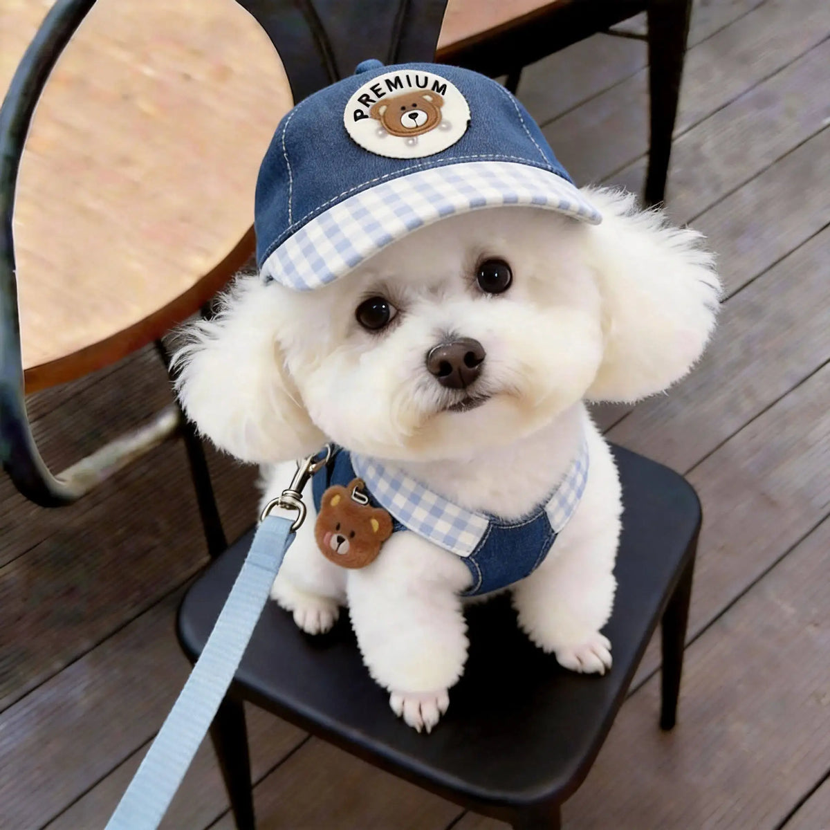 Cartoon Dog Harness Vest with Matching Leash