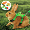 A brown rabbit wearing a green harness and leash, with illustrations of carrots and a watermelon nearby.